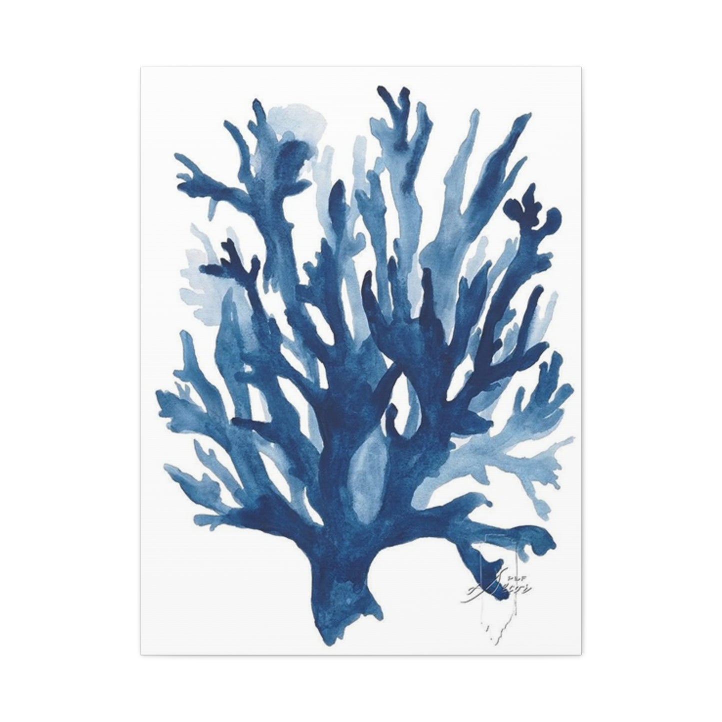 Amazing Sea Shells Stems Poster Wall Art & Canvas Prints