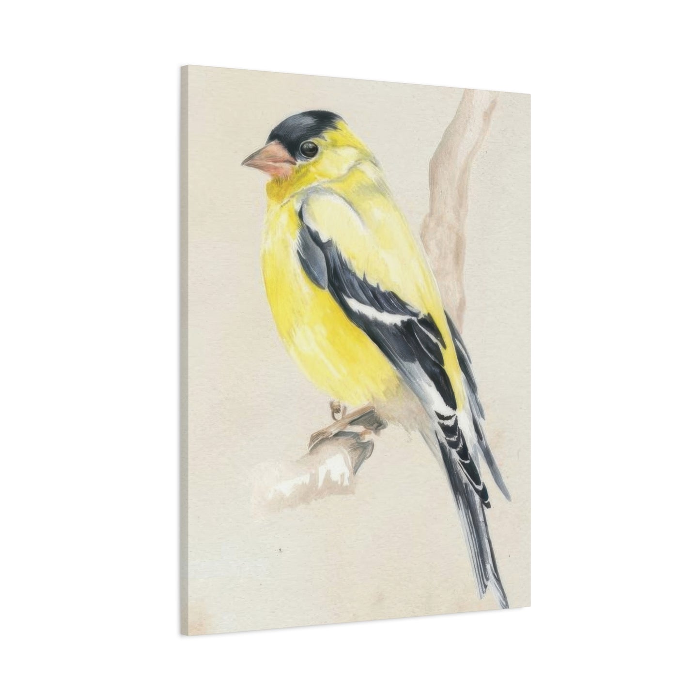 Jennifer Paxton Parker Little Bird On Branch 2 Wall Art & Canvas Prints