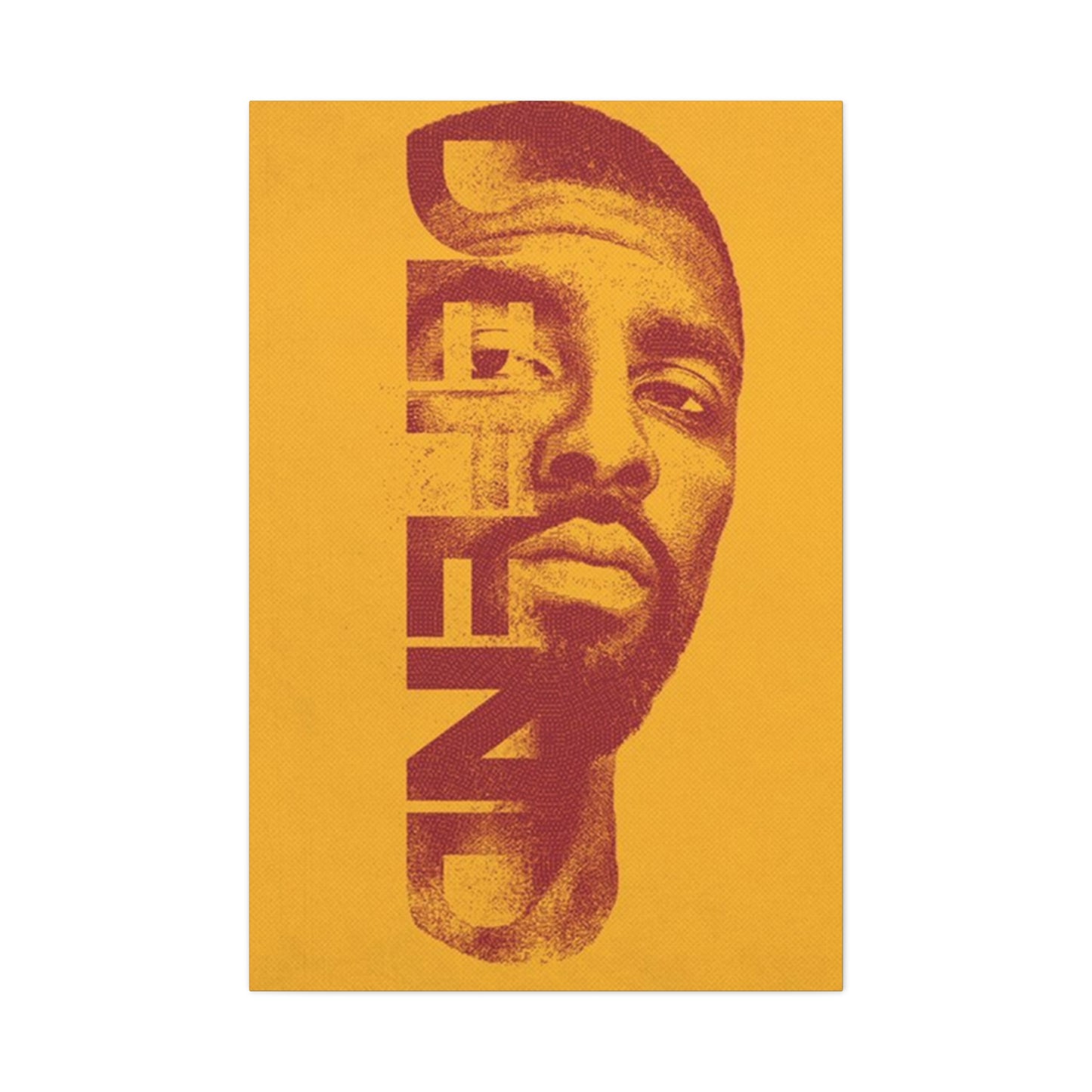 Defend Poster Wall Art & Canvas Prints