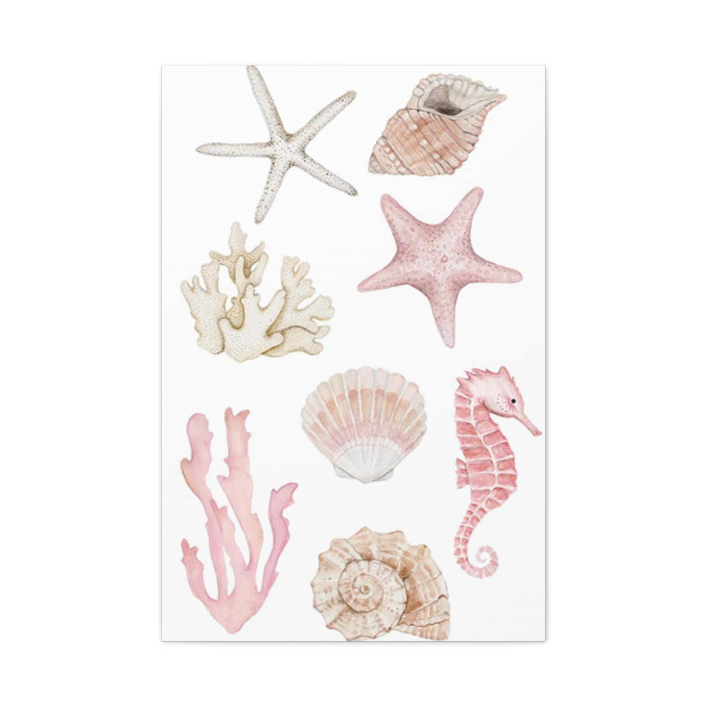 Beautiful Pink Shell Shape Poster Wall Art & Canvas Prints
