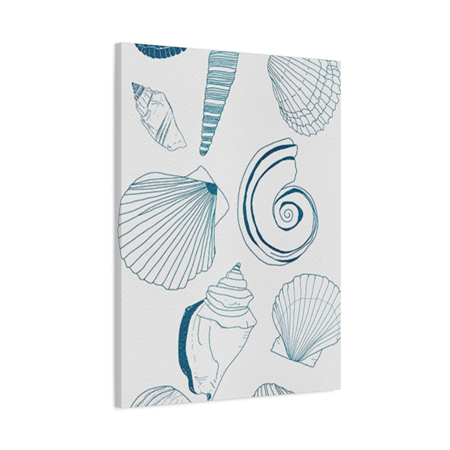 Beautiful Sea Shells Poster Wall Art & Canvas Prints