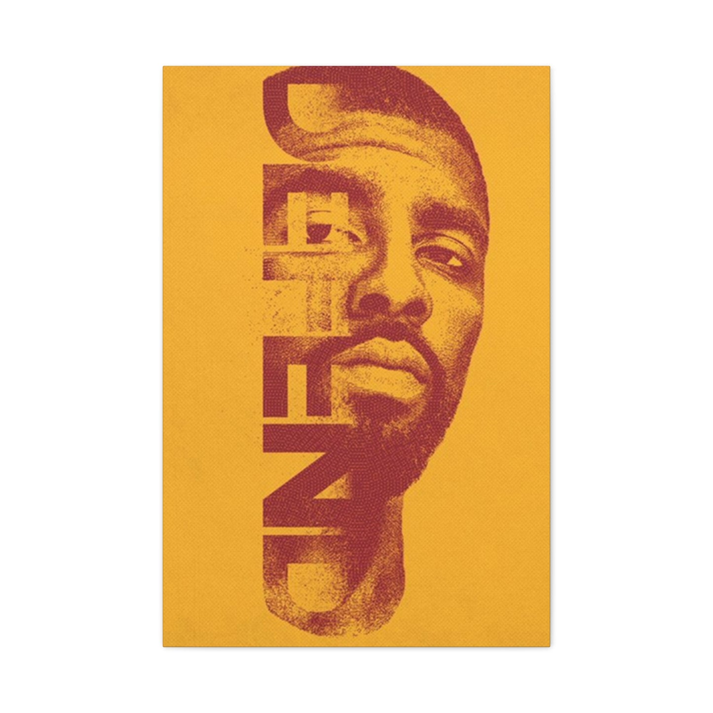 Defend Poster Wall Art & Canvas Prints