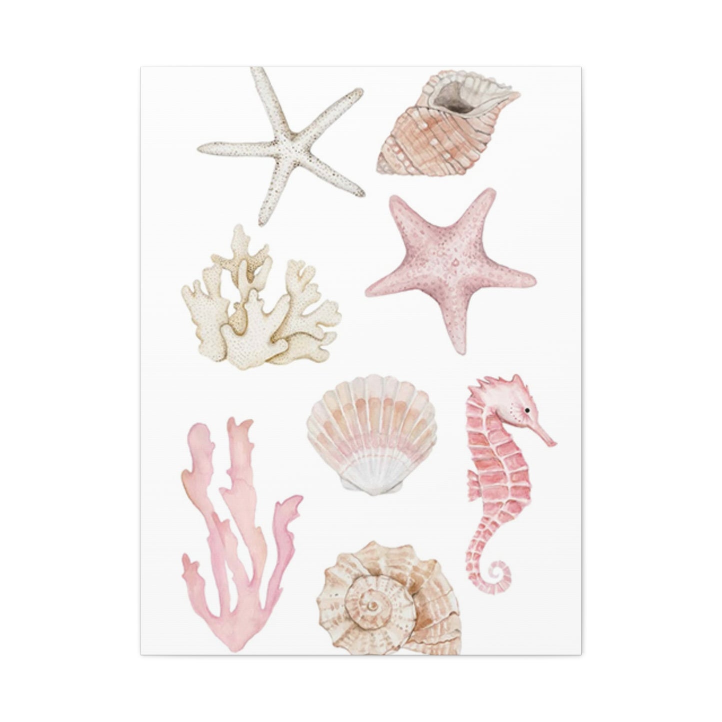 Beautiful Pink Shell Shape Poster Wall Art & Canvas Prints