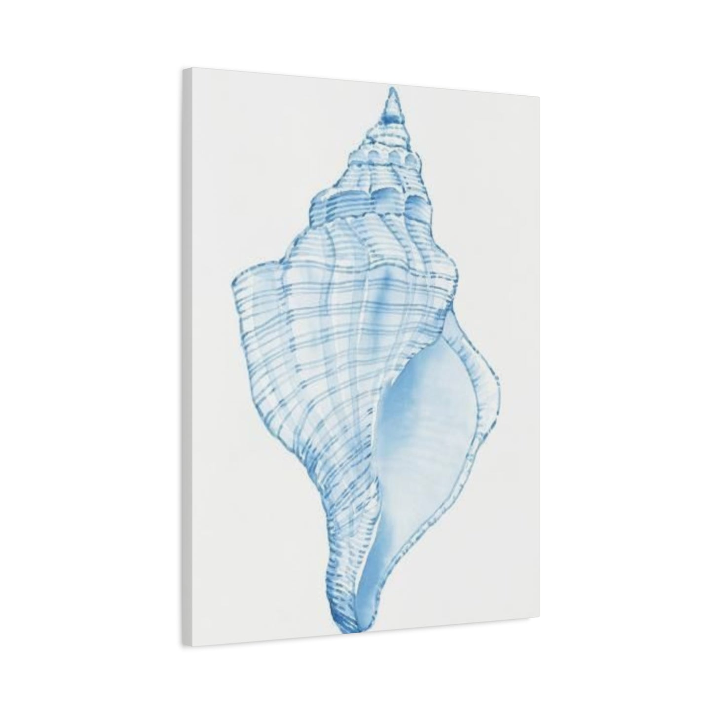 Blue Shell Drawing Wall Art & Canvas Prints
