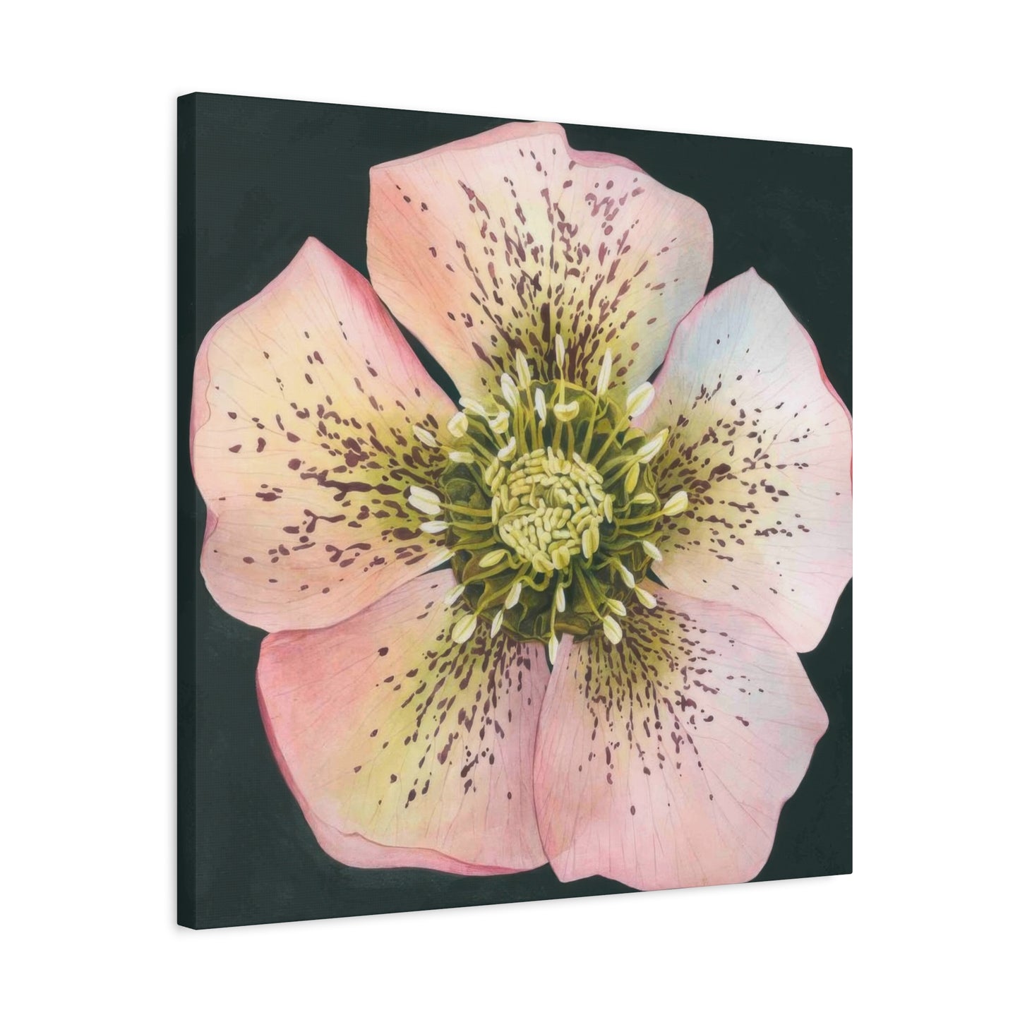 Grace Popp Flower Head Wall Art & Canvas Prints