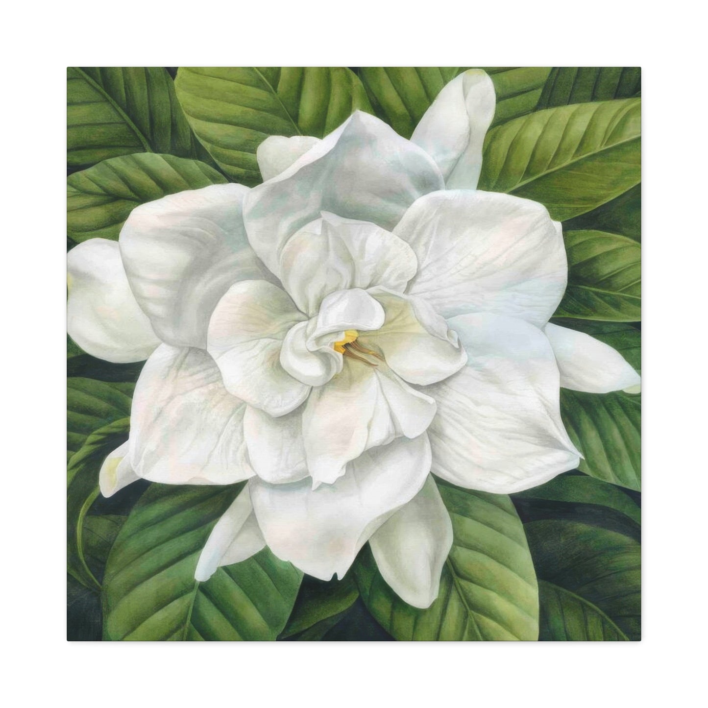 Grace Popp White Flower Head Wall Art & Canvas Prints