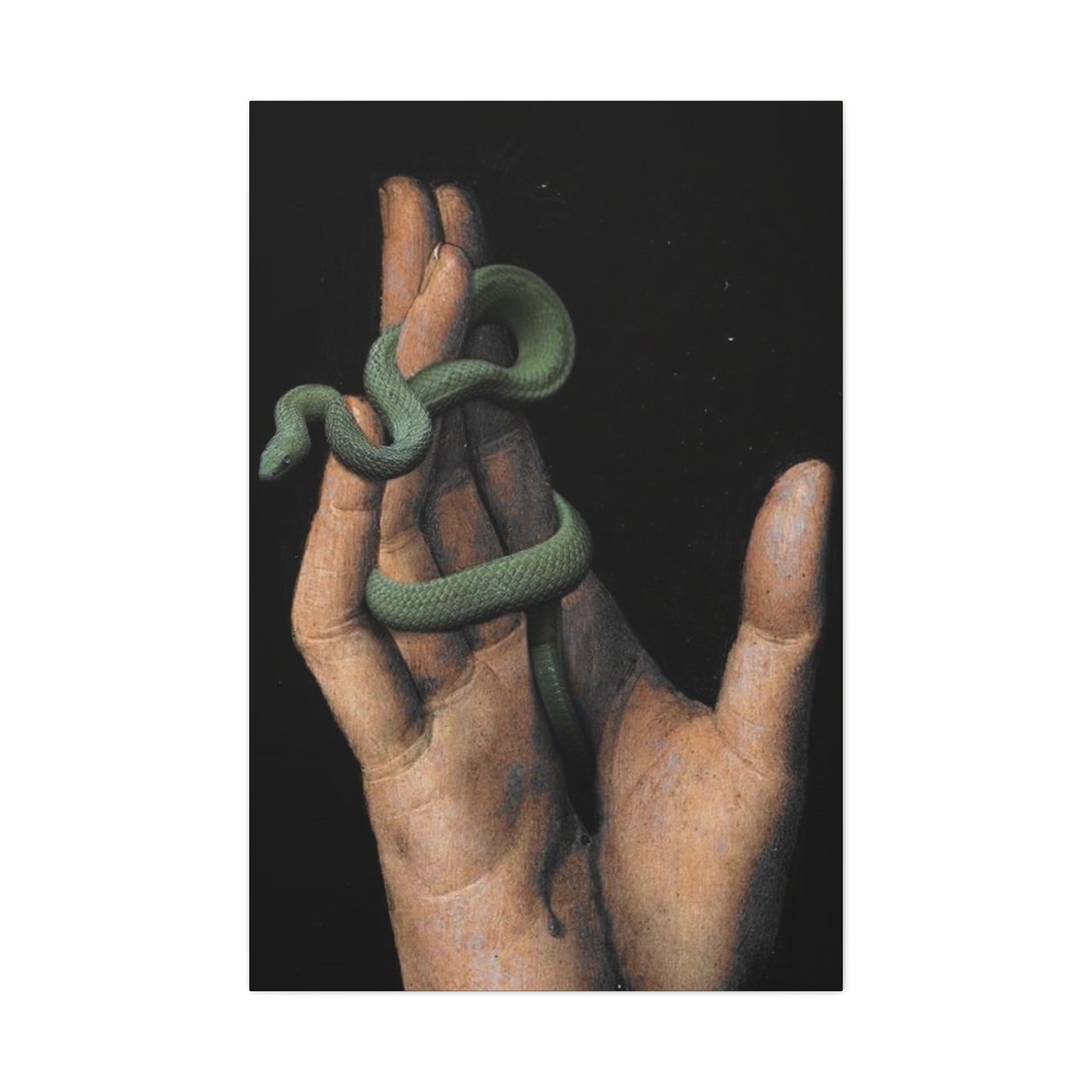 Snake On Hand Wall Art & Canvas Prints