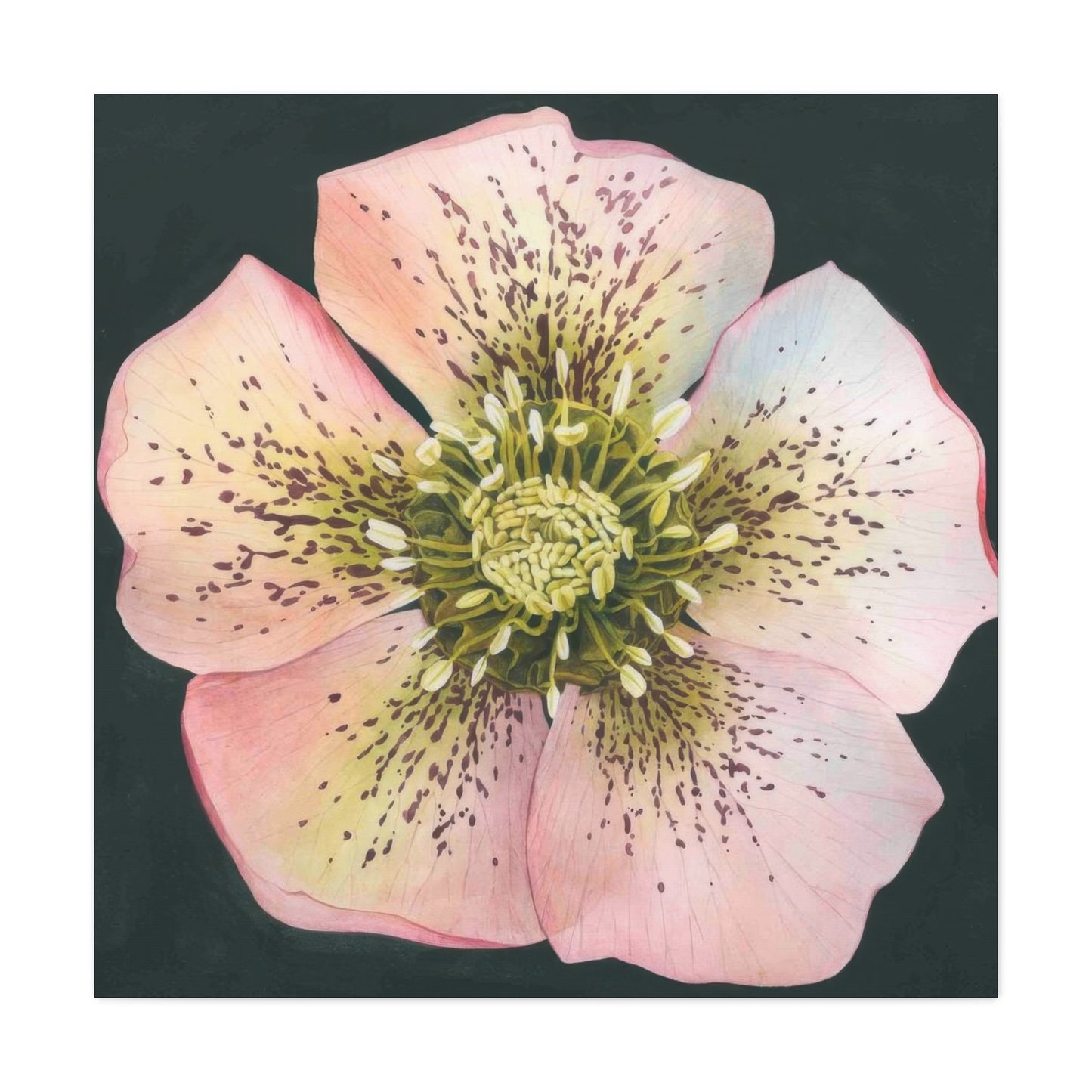 Grace Popp Flower Head Wall Art & Canvas Prints