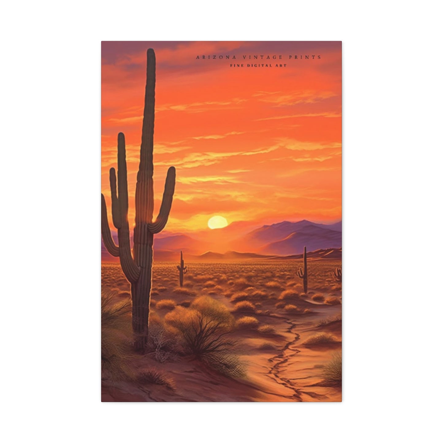 Abstract Arizona Cactus Sunset Wall Art & Canvas Prints