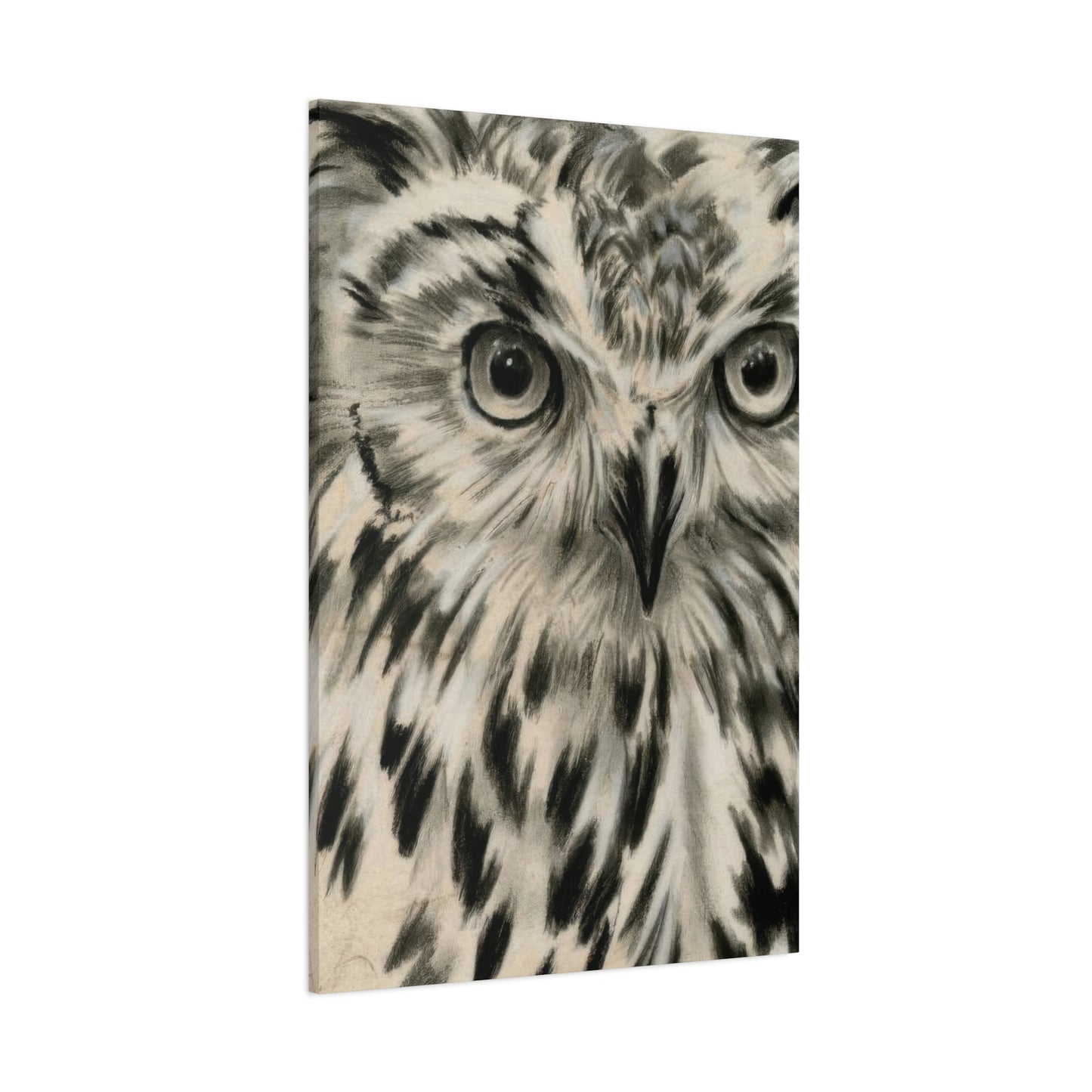Jennifer Paxton Parker Charcoal Owl Wall Art & Canvas Prints