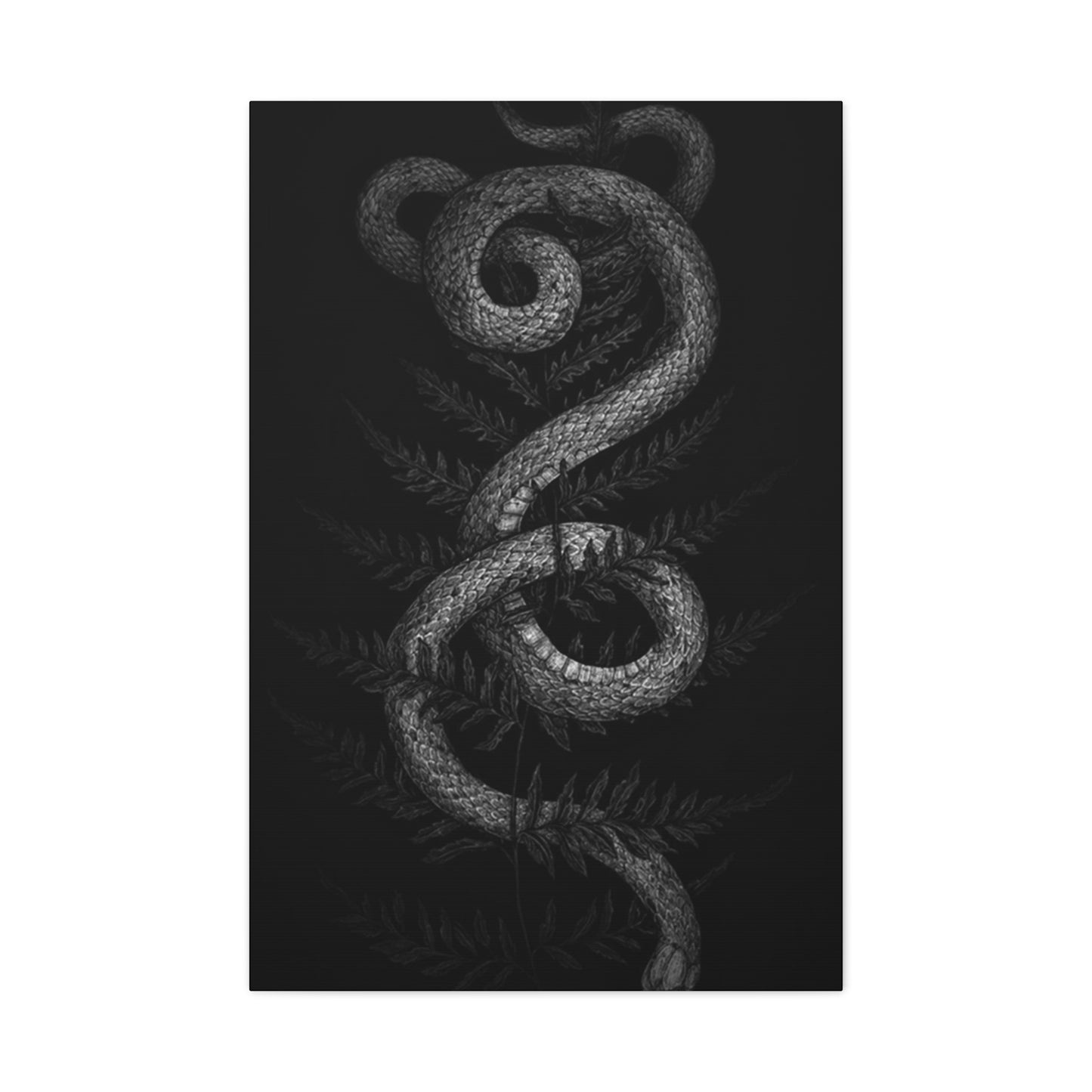 White Cobra Wall Art & Canvas Prints