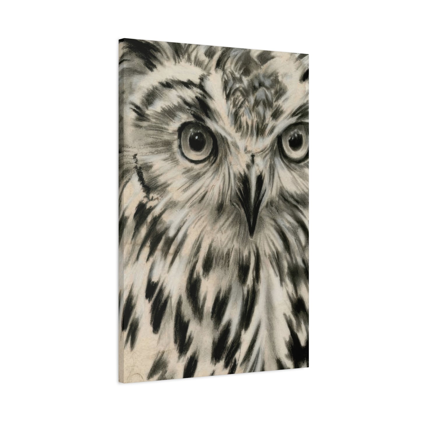 Jennifer Paxton Parker Charcoal Owl Wall Art & Canvas Prints