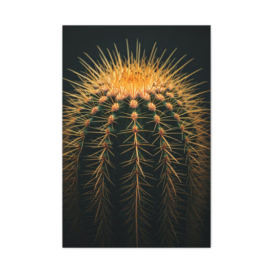 Sunset Crown Cactus Wall Art & Canvas Prints