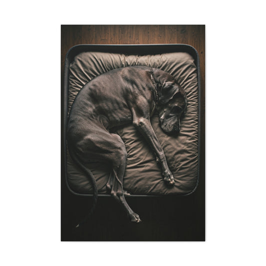Peaceful Slumber Canine Wall Art & Canvas Print