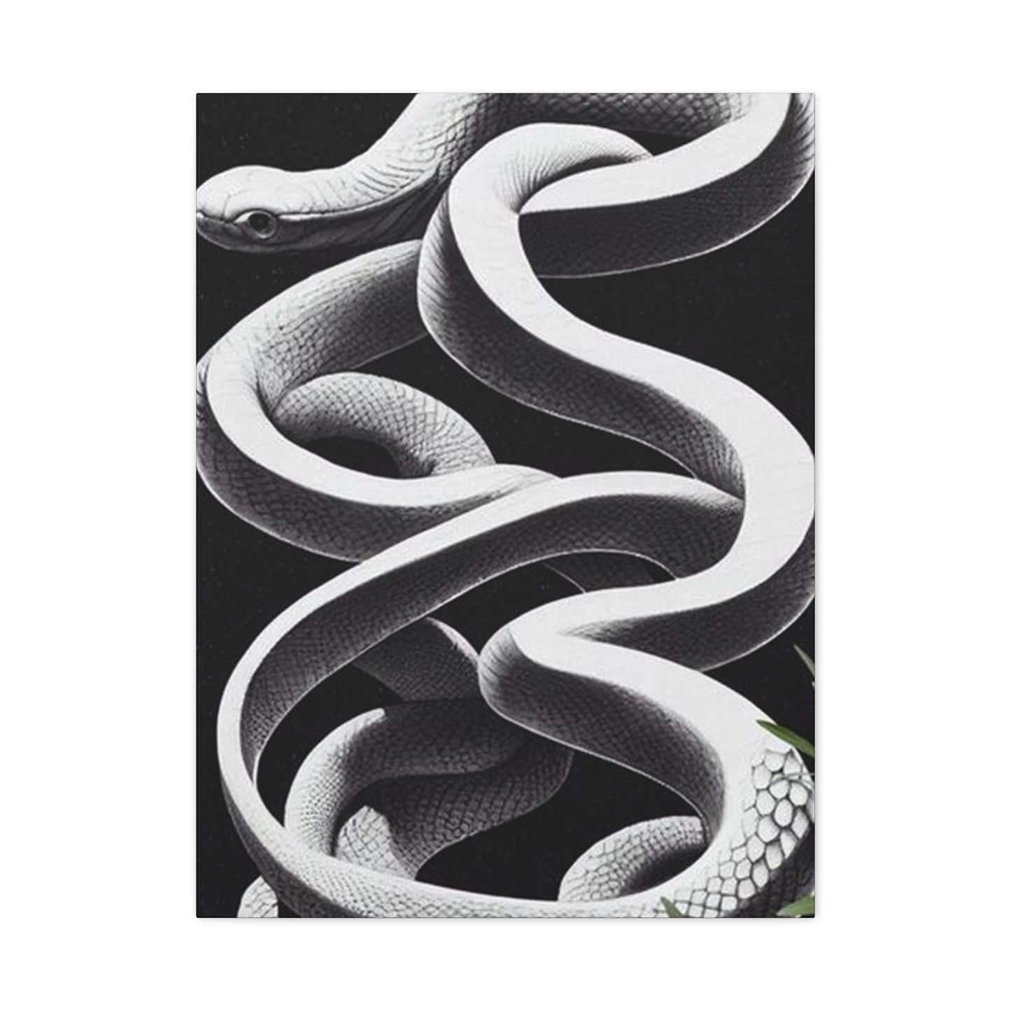 White Snake On Black Poster Wall Art & Canvas Prints
