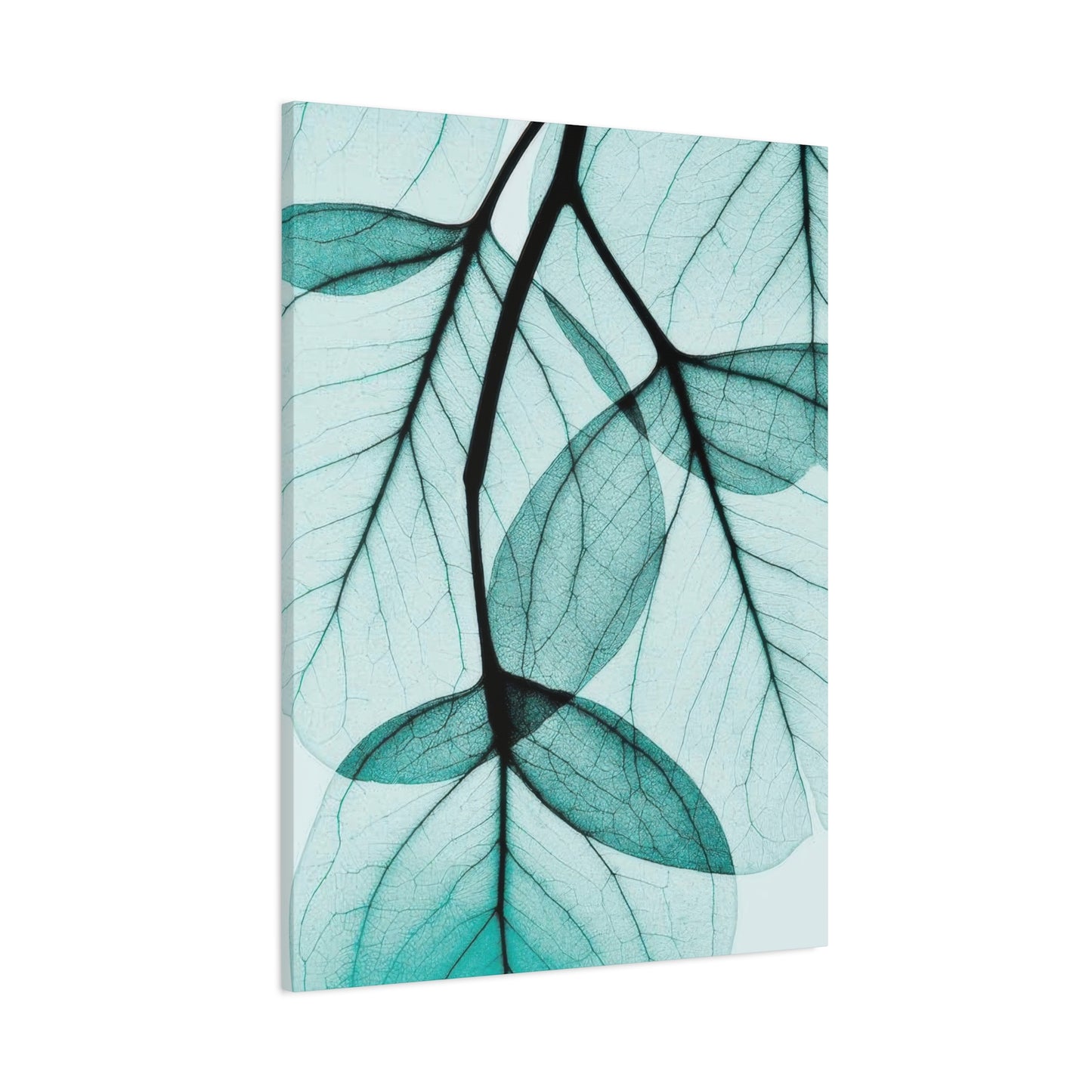 Eucalyptus Leaves Wall Art & Canvas Prints