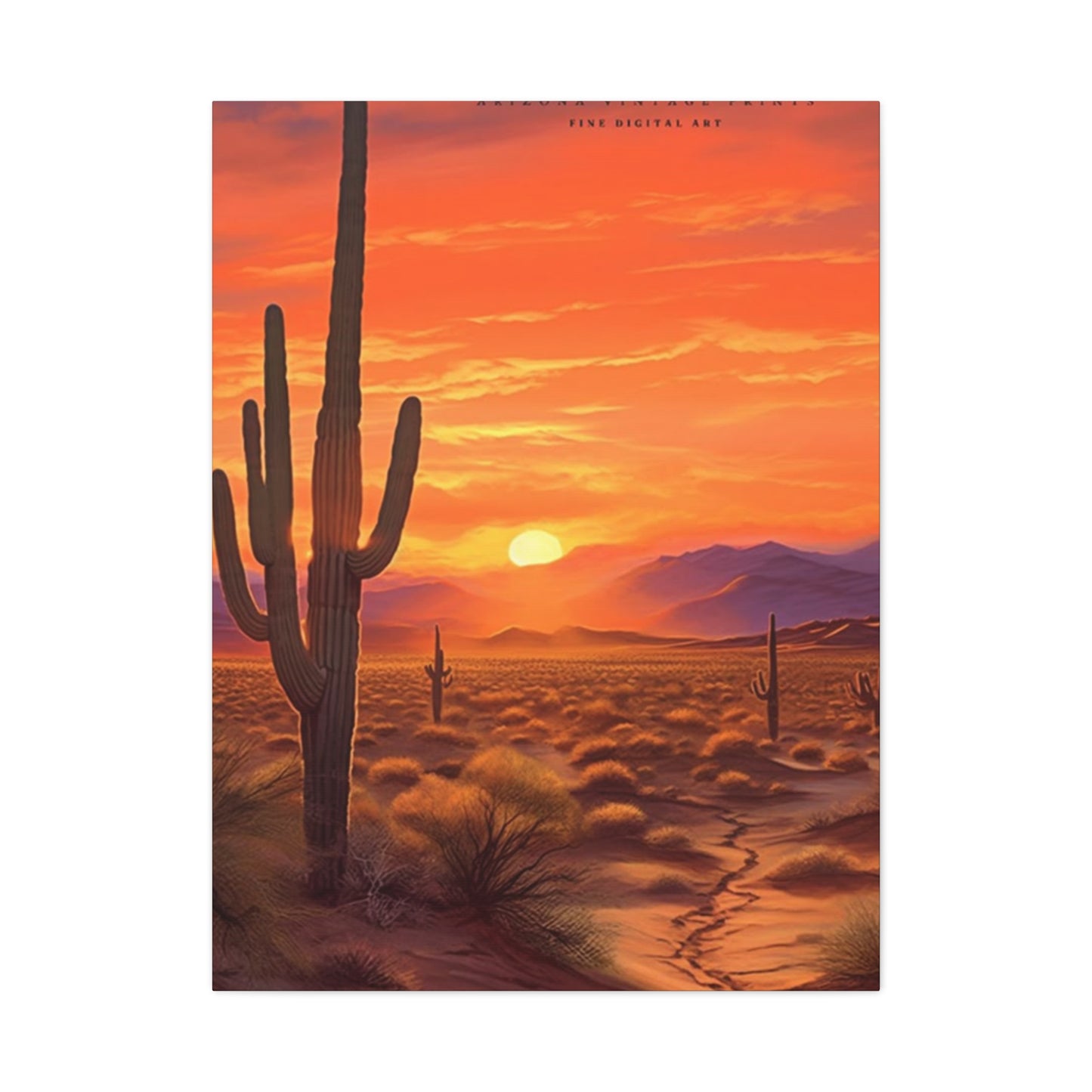 Abstract Arizona Cactus Sunset Wall Art & Canvas Prints