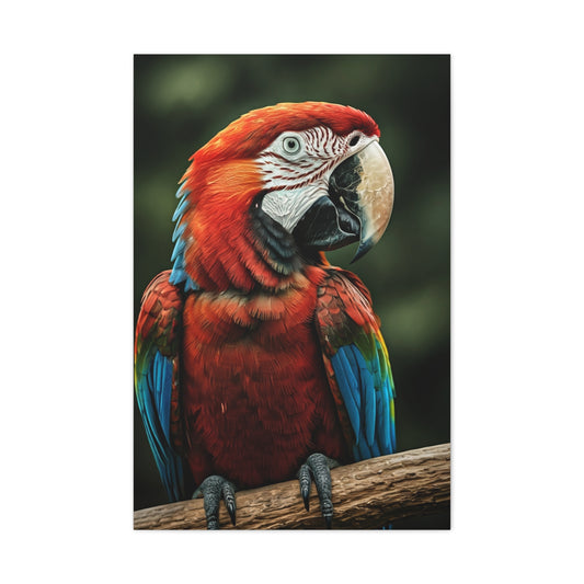 Scarlet Macaw Majesty Wall Art & Canvas Prints