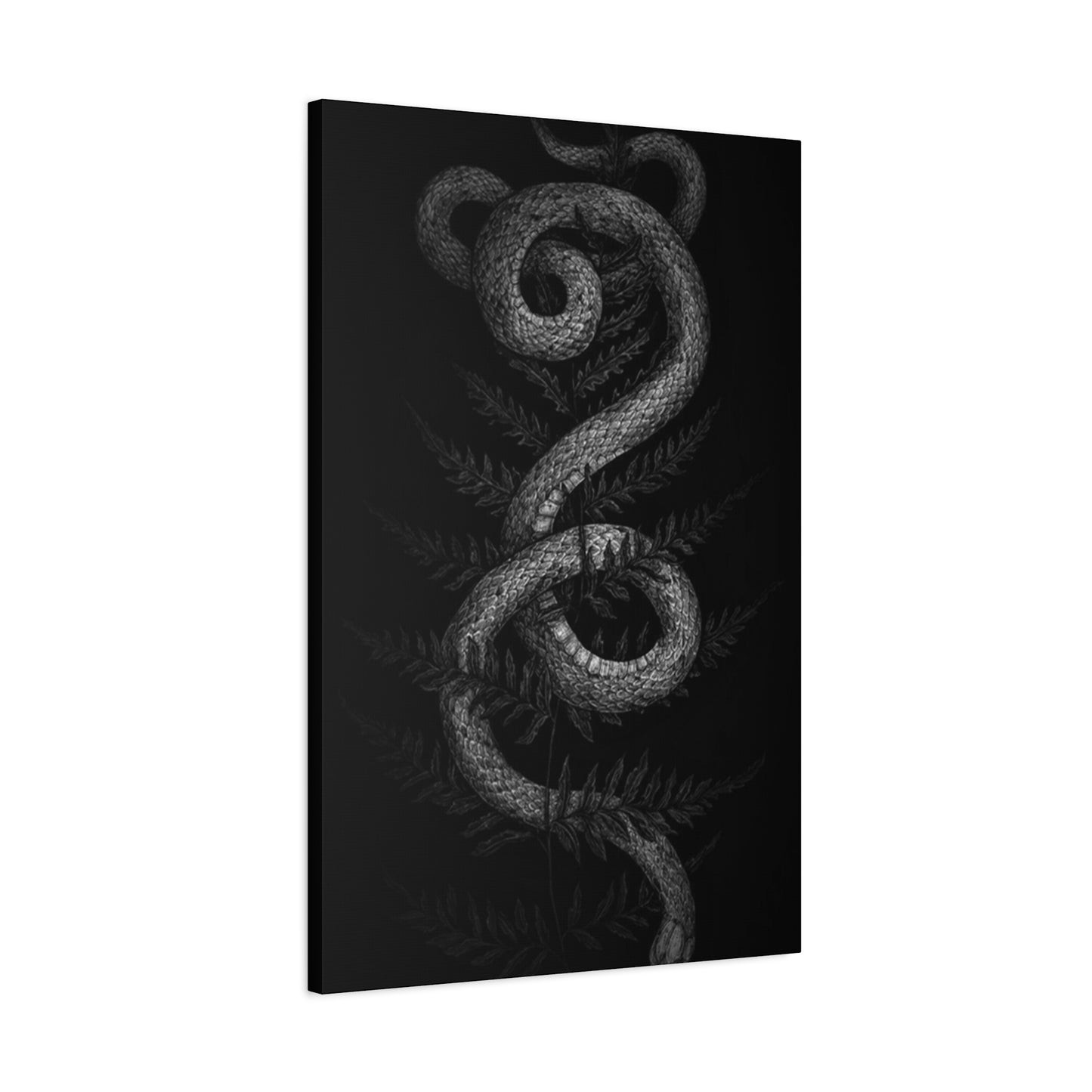White Cobra Wall Art & Canvas Prints