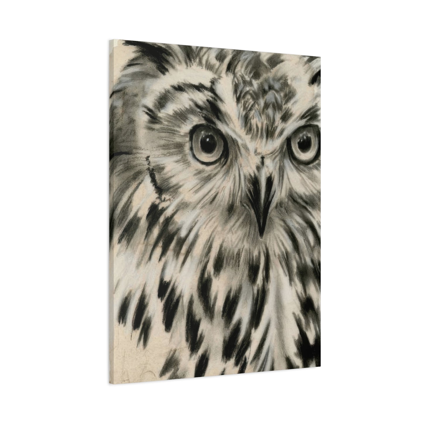 Jennifer Paxton Parker Charcoal Owl Wall Art & Canvas Prints