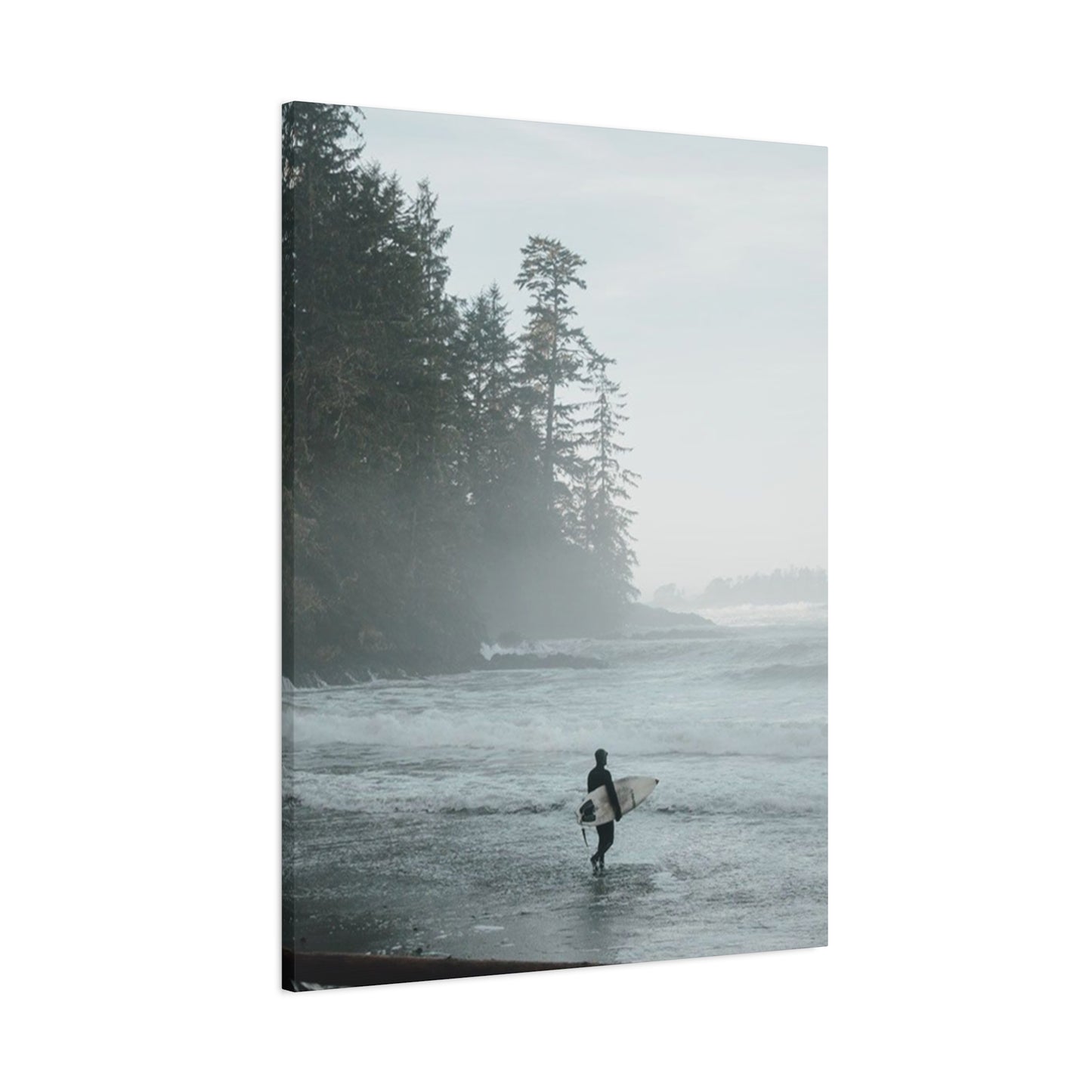 Black & White Surfing Poster Wall Art & Canvas Prints