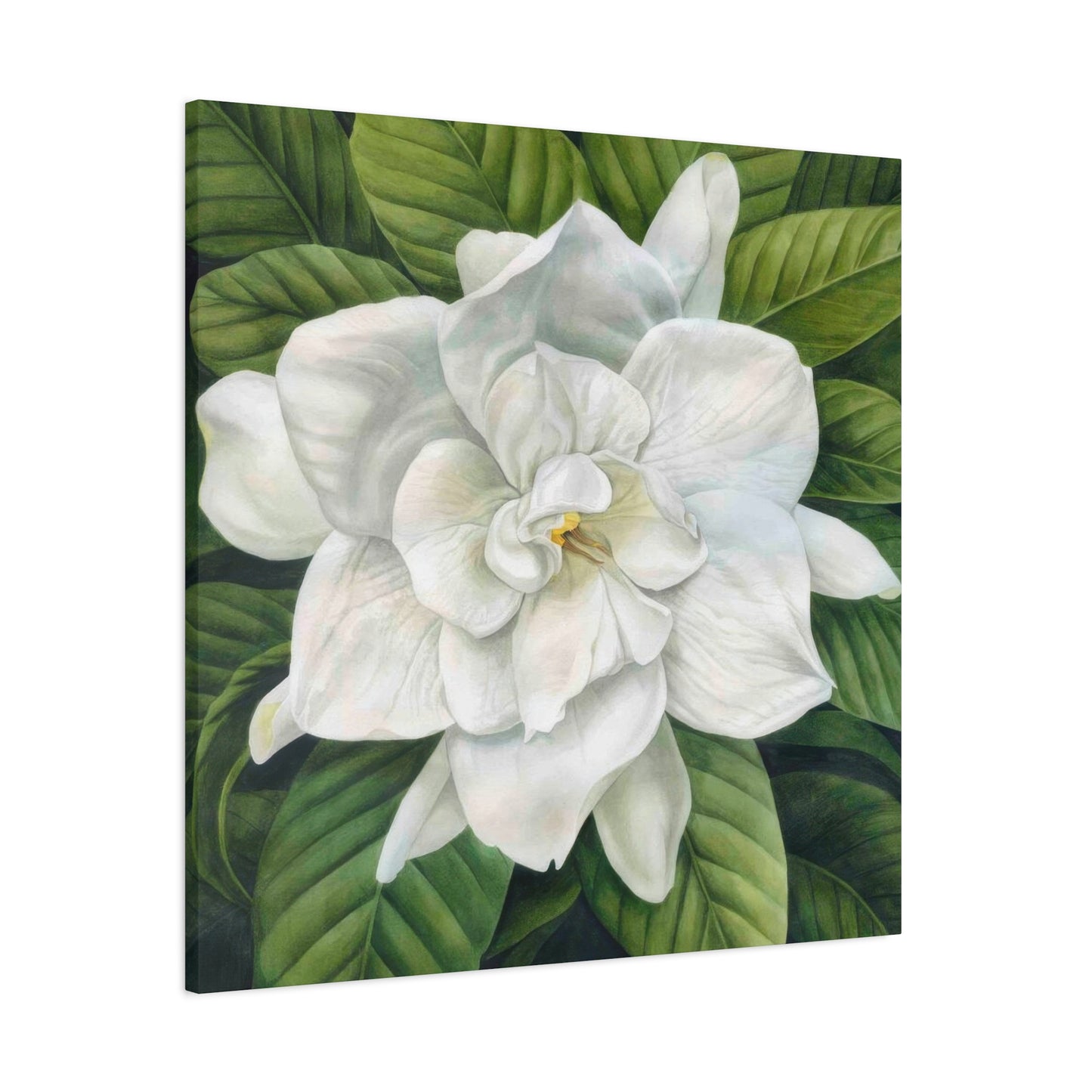 Grace Popp White Flower Head Wall Art & Canvas Prints
