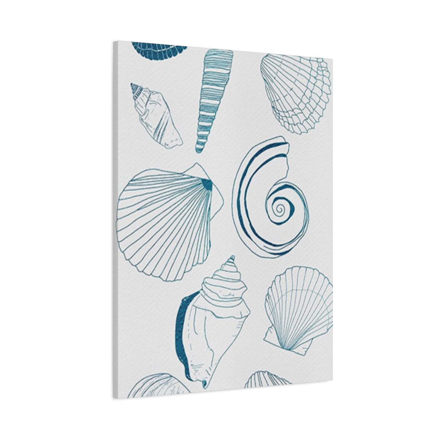 Beautiful Sea Shells Poster Wall Art & Canvas Prints