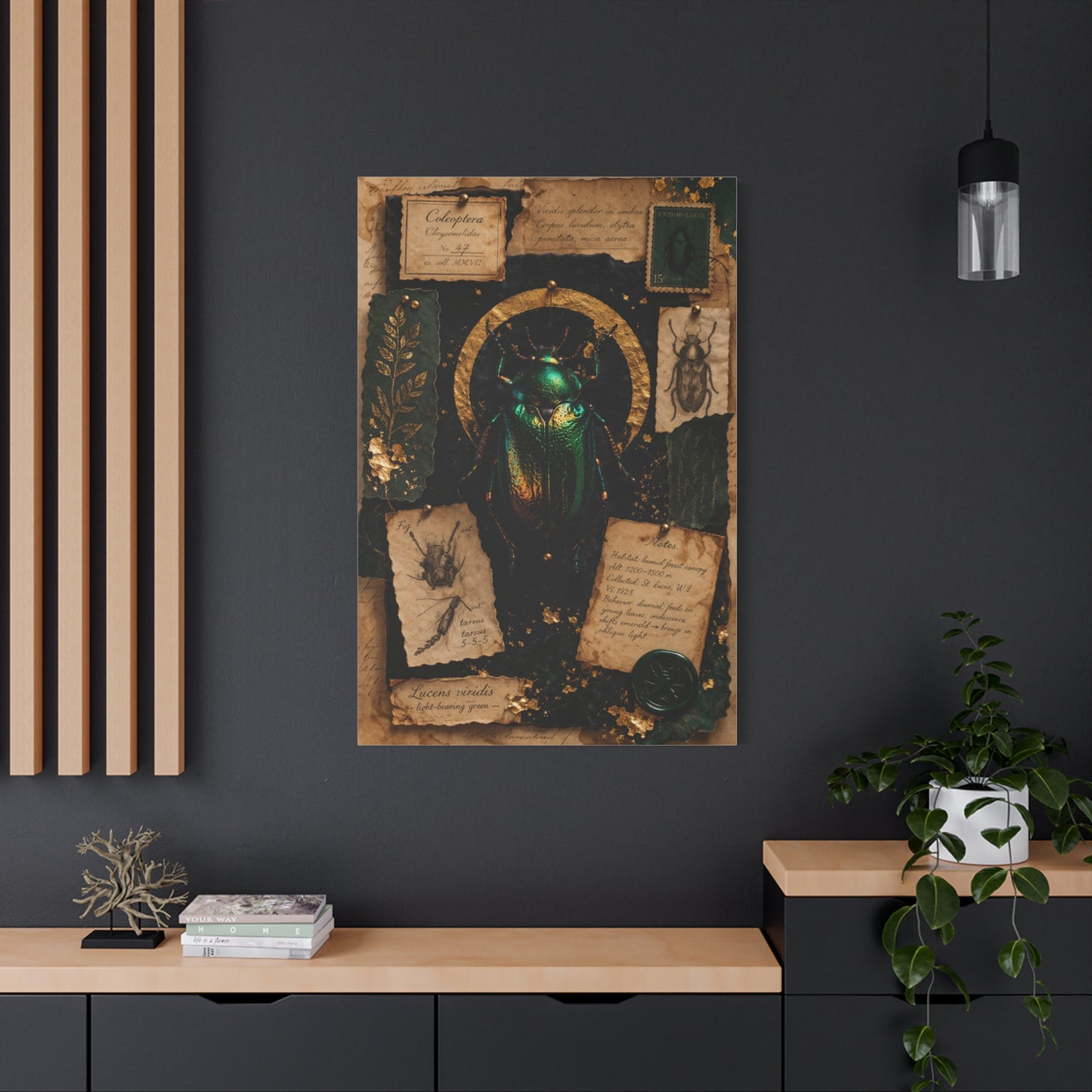 Cabinet of Curiosities Insect Study Wall Art & Canvas Print
