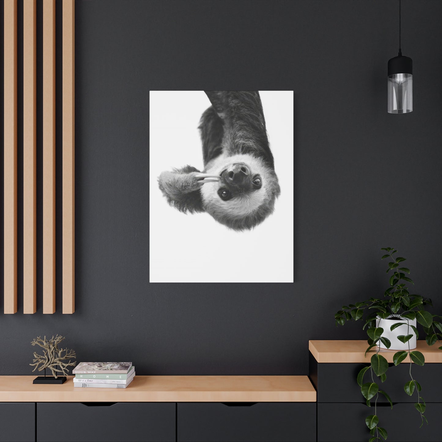 Kathrin Pienaar Sloth Wall Art & Canvas Prints