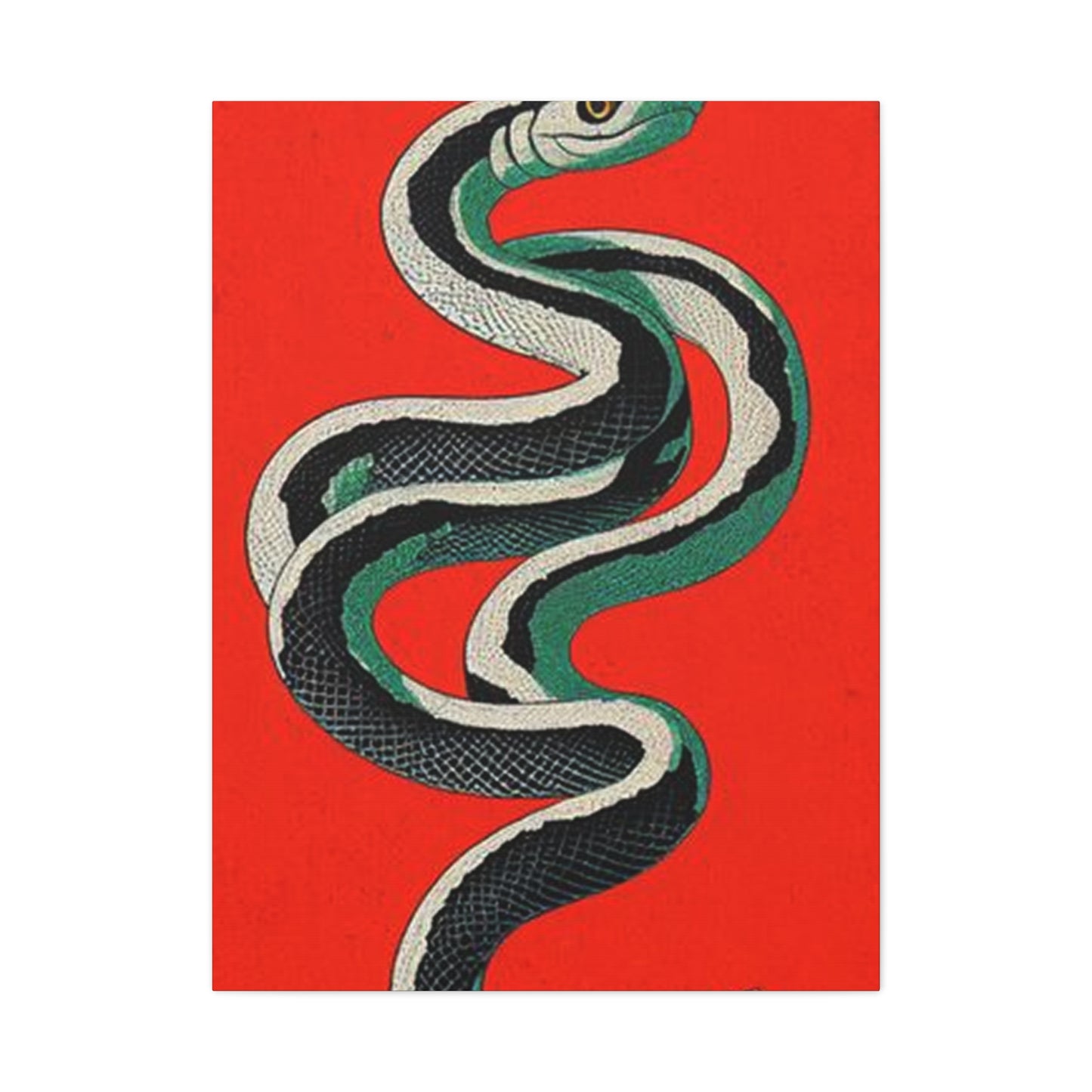 Snake's Wall Art & Canvas Prints