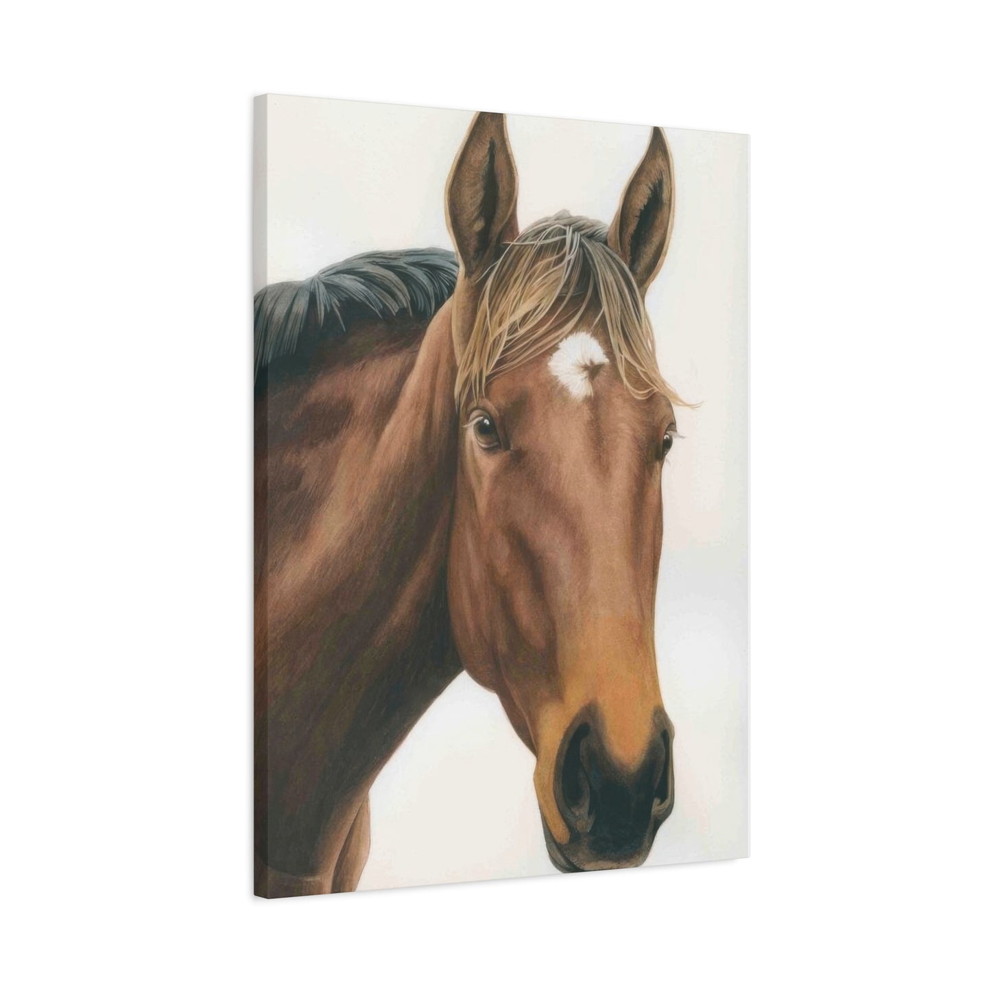 Grace Popp Maisie Horse Wall Art & Canvas Prints