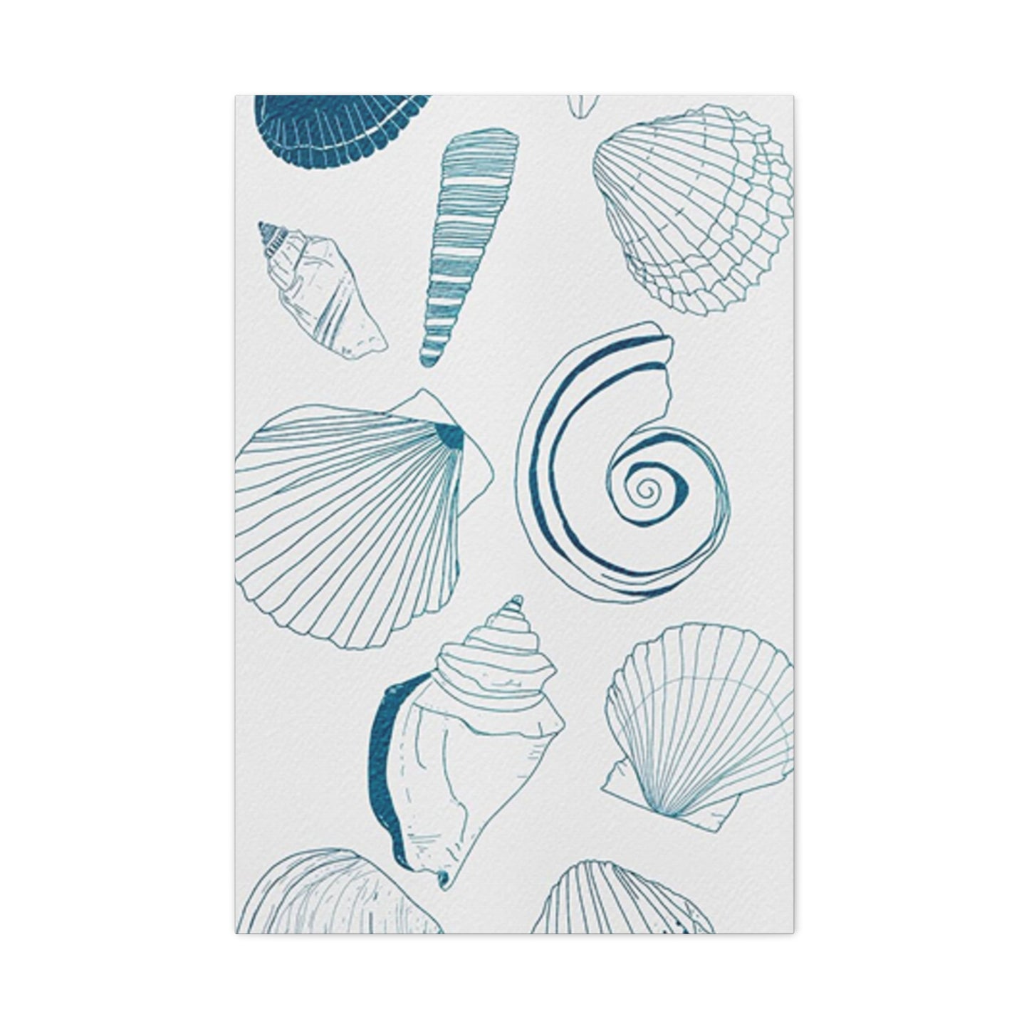 Beautiful Sea Shells Poster Wall Art & Canvas Prints