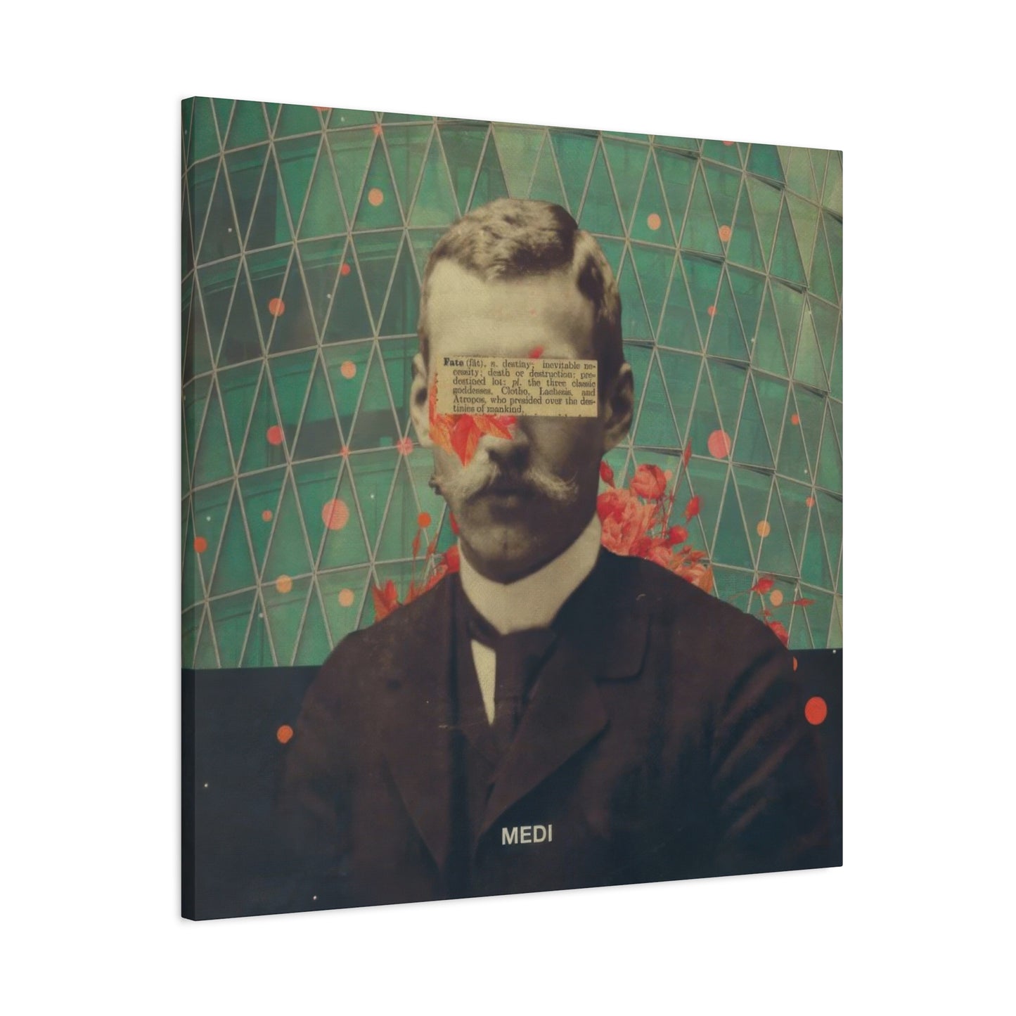 Frank Moth Mediocre Wall Art & Canvas Prints