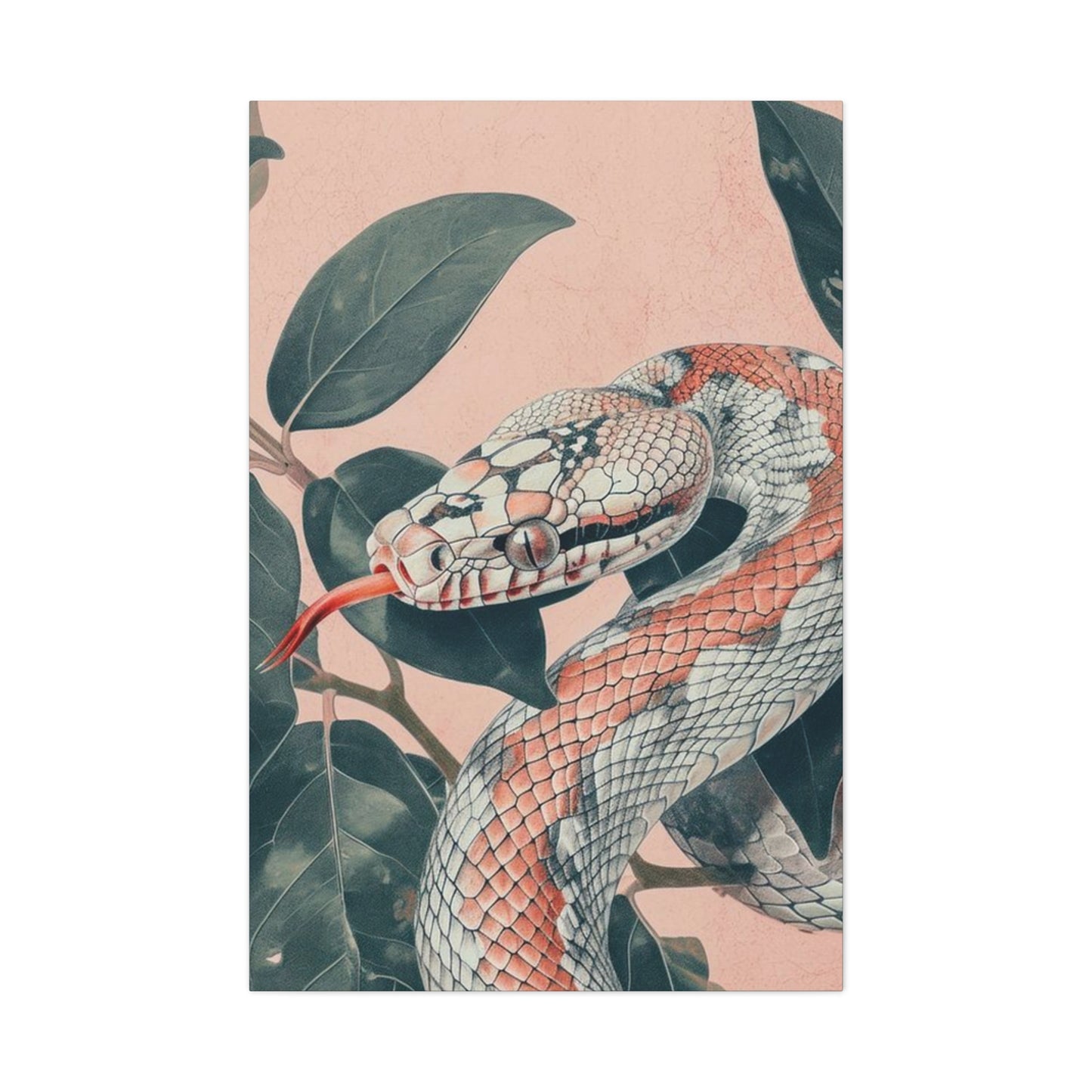 White And Pink Snake Wall Art & Canvas Prints