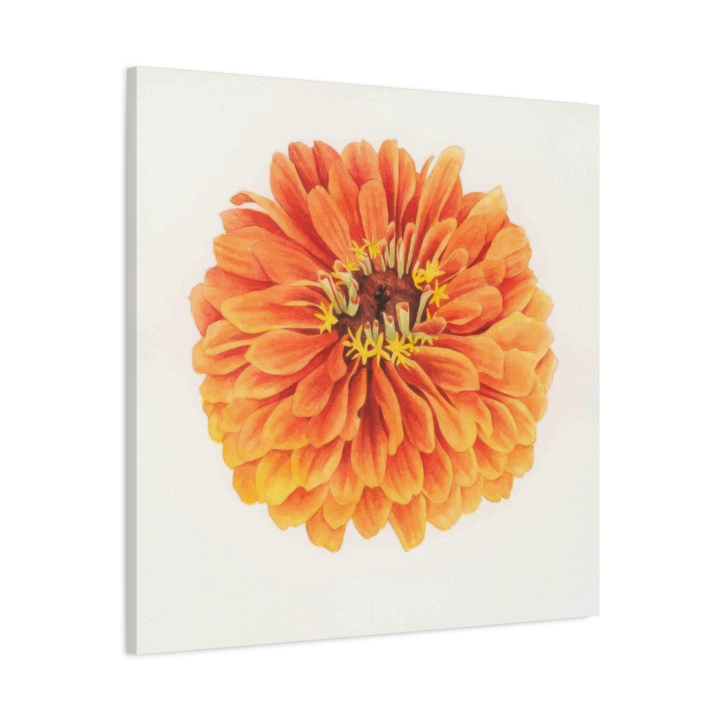 Grace Popp Orange Flower Head Wall Art & Canvas Prints