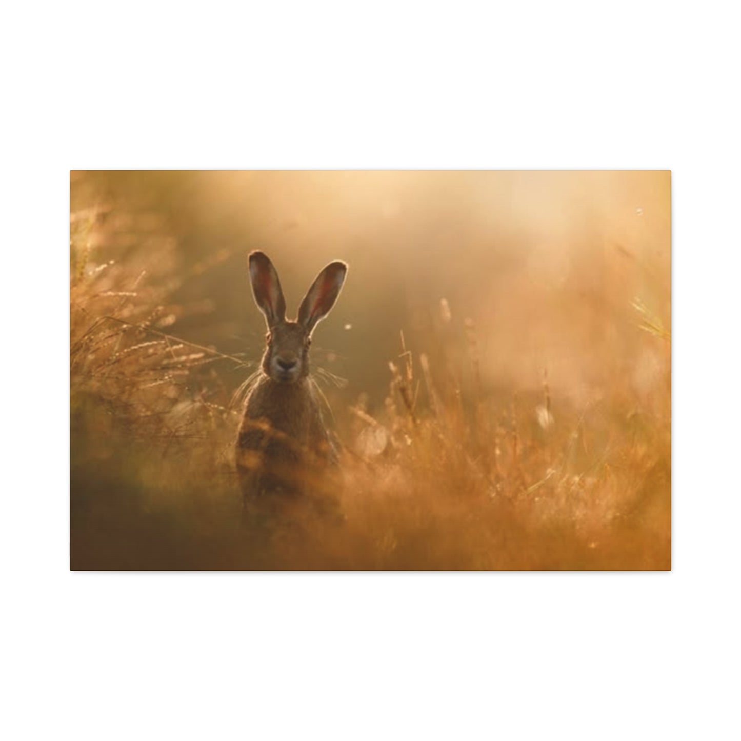 Long Ear Brown Bunny Wall Art & Canvas Prints