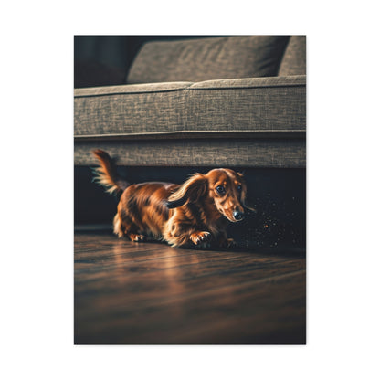 Playful Dash Dachshund Wall Art & Canvas Print