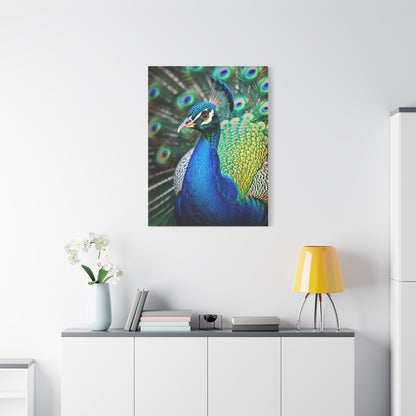 Vibrant Peacock Portrait Wall Art & Canvas Prints