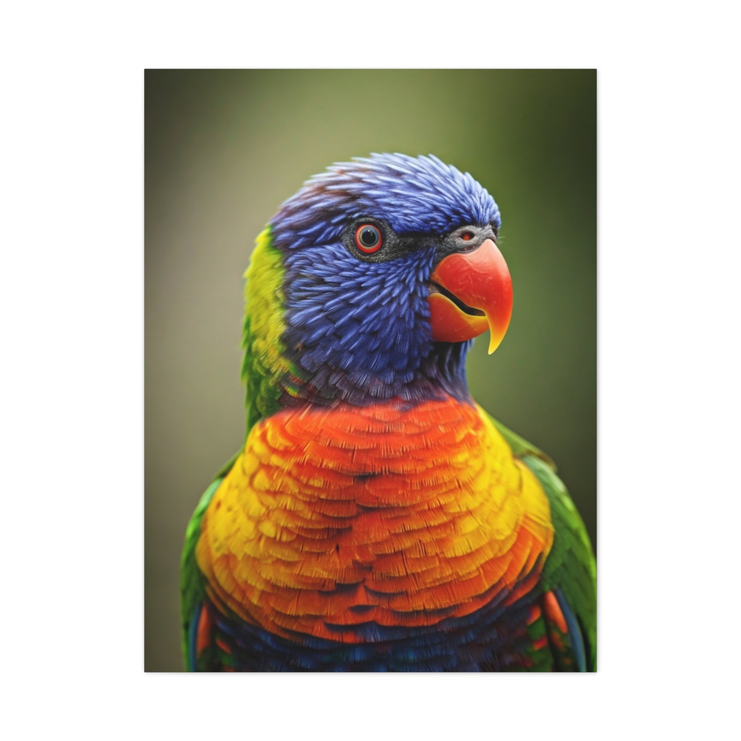 Vibrant Rainbow Lorikeet Wall Art & Canvas Prints