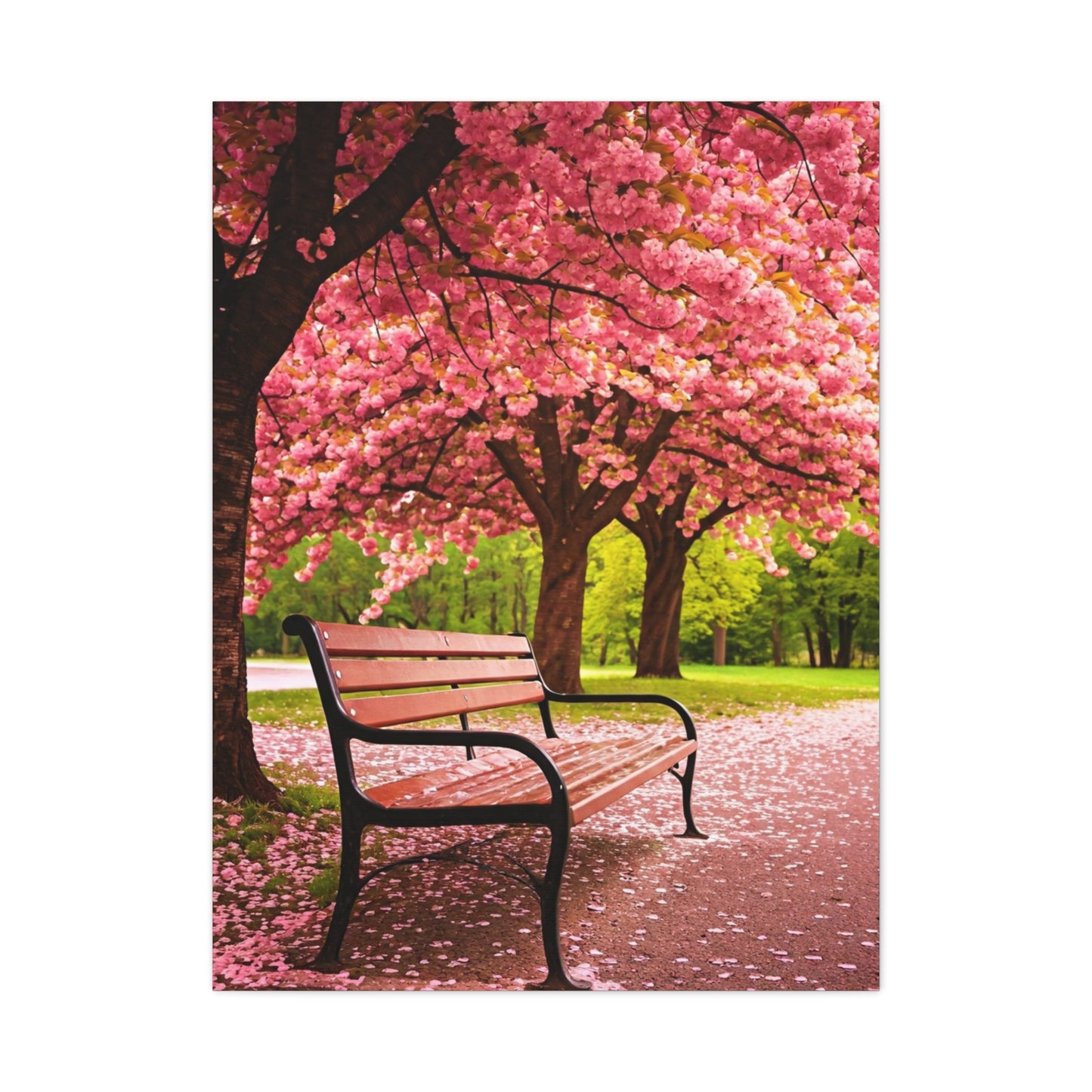 Cherry Blossom Park Bench Serenity Wall Art & Canvas Prints