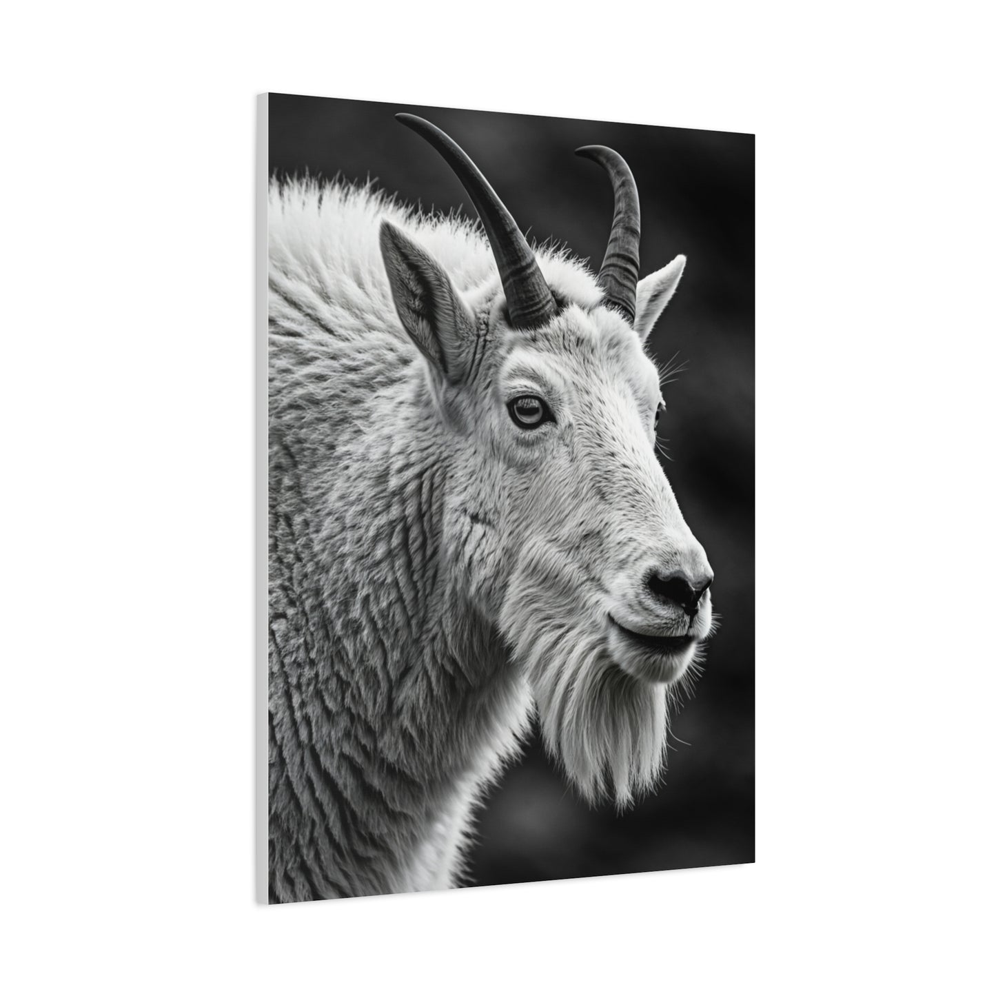 Alpine Goat Portrait Wall Art & Canvas Prints