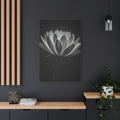 Dramatic Hibiscus Petal Study Wall Art & Canvas Prints
