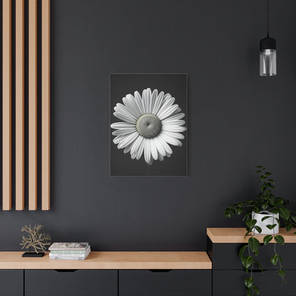 White Daisy Bloom Portrait Wall Art & Canvas Prints