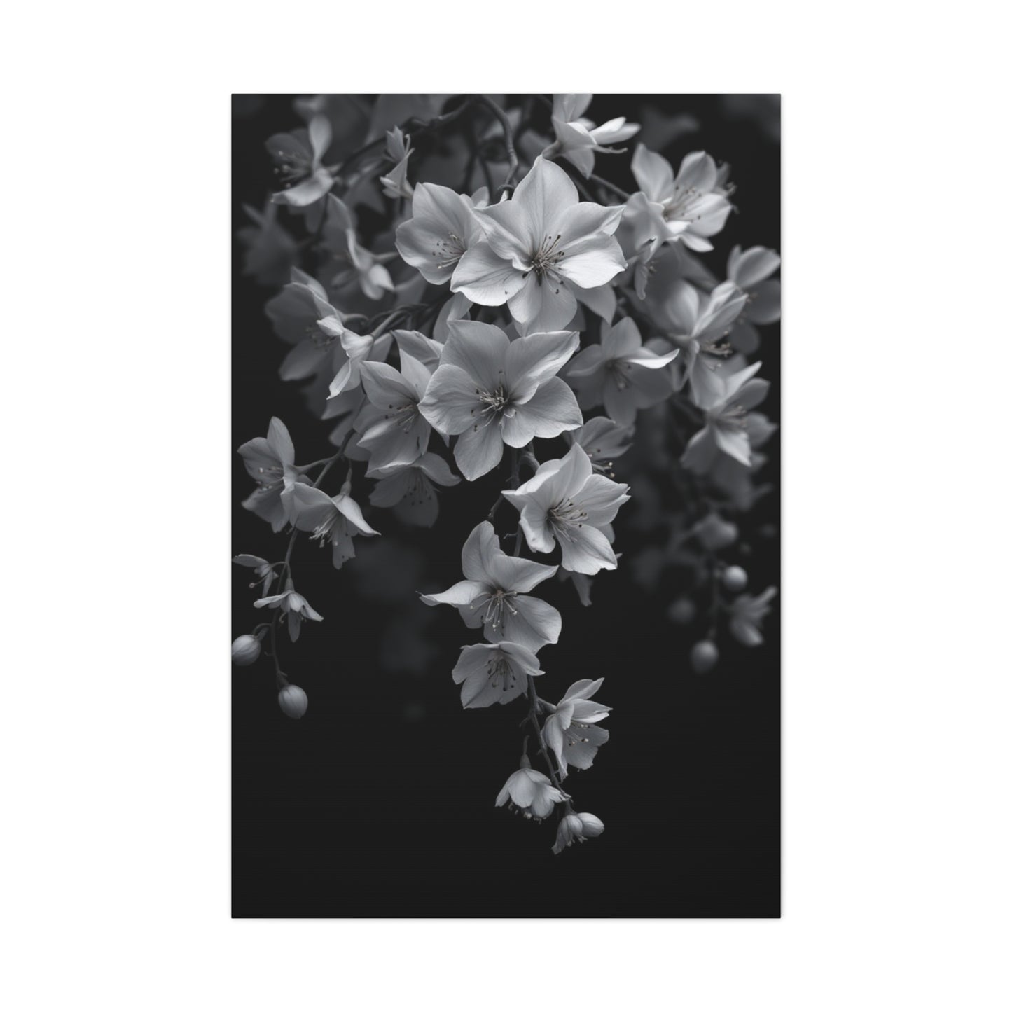 Cascading Cherry Blossom Branch Wall Art & Canvas Prints