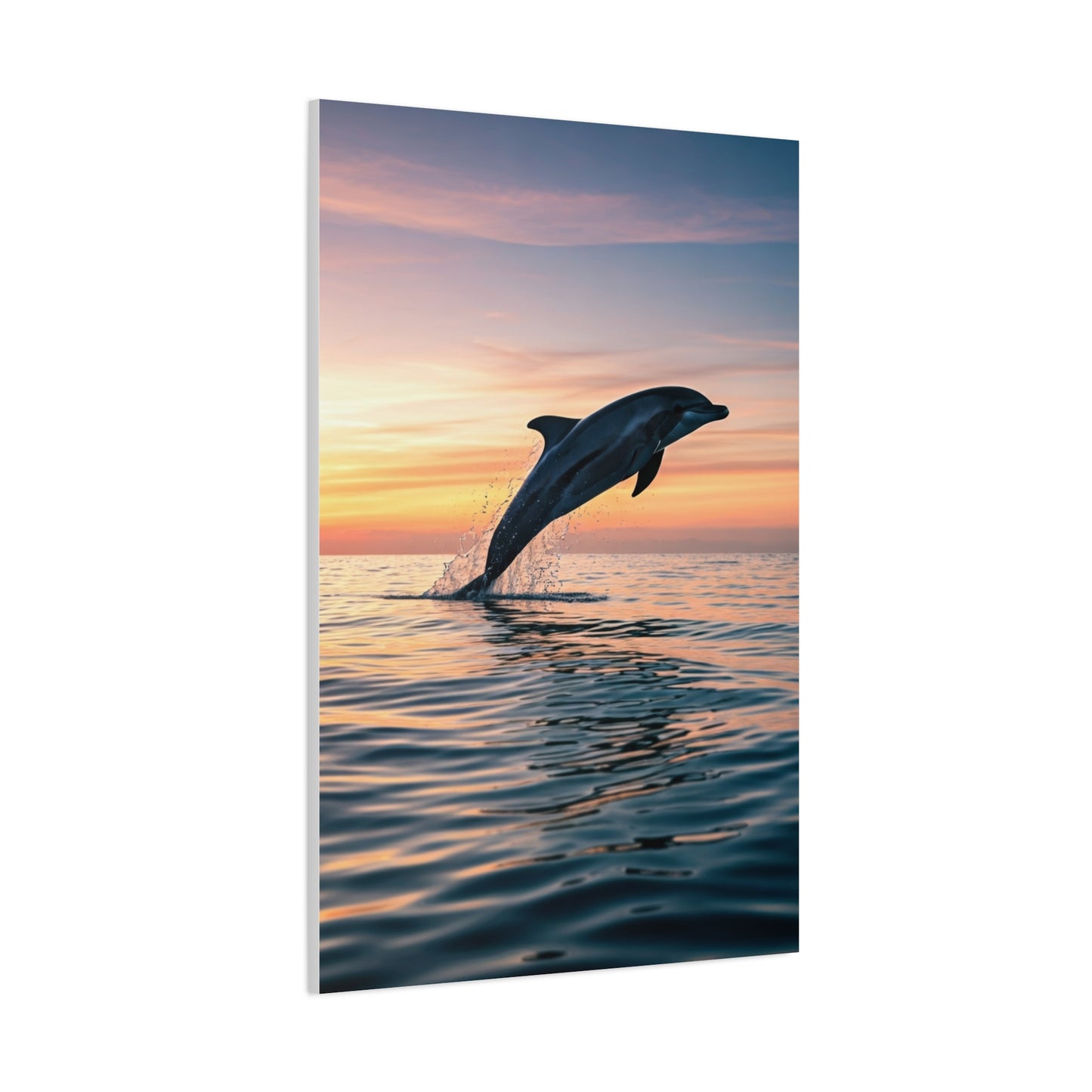 Dolphin at Sunset wall art & canvas prints