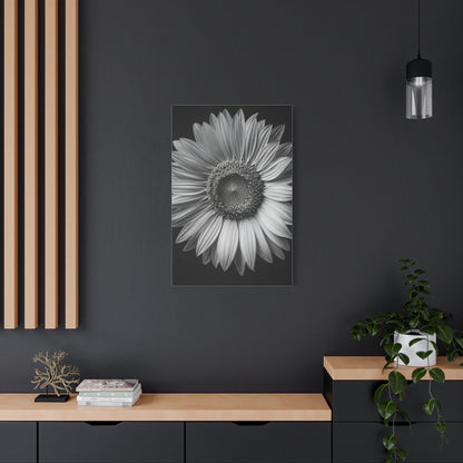Velvet Orchid Bloom in Monochrome Wall Art & Canvas Prints