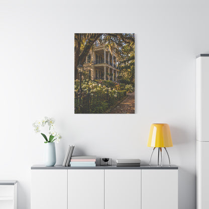 Garden District Mansion Under Live Oaks Wall Art & Canvas Print