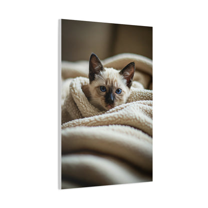 Cozy Kitten Comfort Wall Art & Canvas Prints
