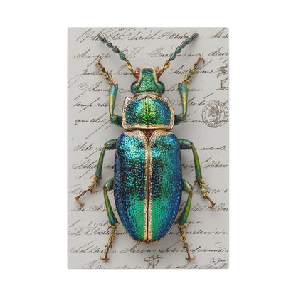 Emerald Beetle Natural History Wall Art & Canvas Print
