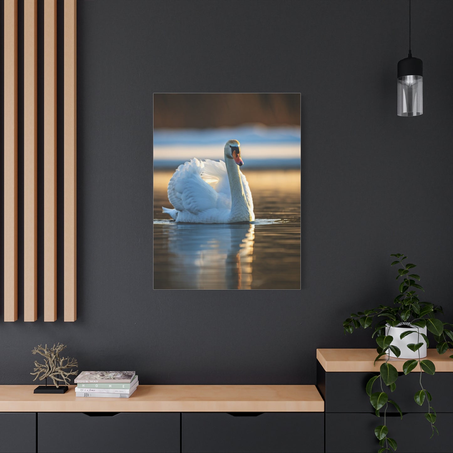 Swan on Still Water Wall Art & Canvas Prints